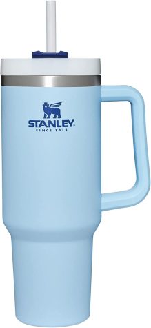 Why you should get a Stanley Reusable Tumbler